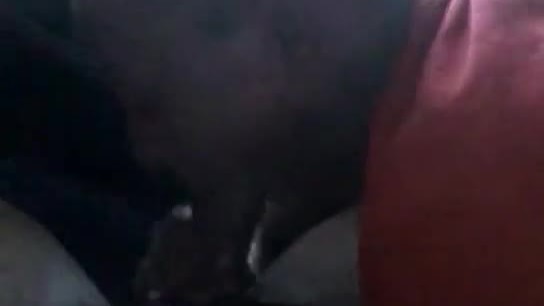 Real amateur crackhead giving blowjob